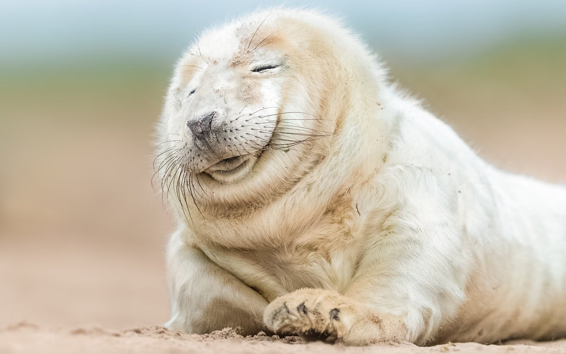 九游娱乐app下载-“青少年足球训练营开营，引领青少年足球新风潮”，青少年足球训练营文化节手抄报