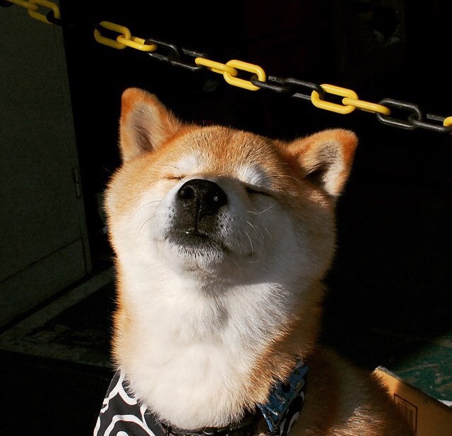 九游娱乐网站-伊朗球员被雪卡住球鞋，教练拿热水壶解围，伊朗队球员