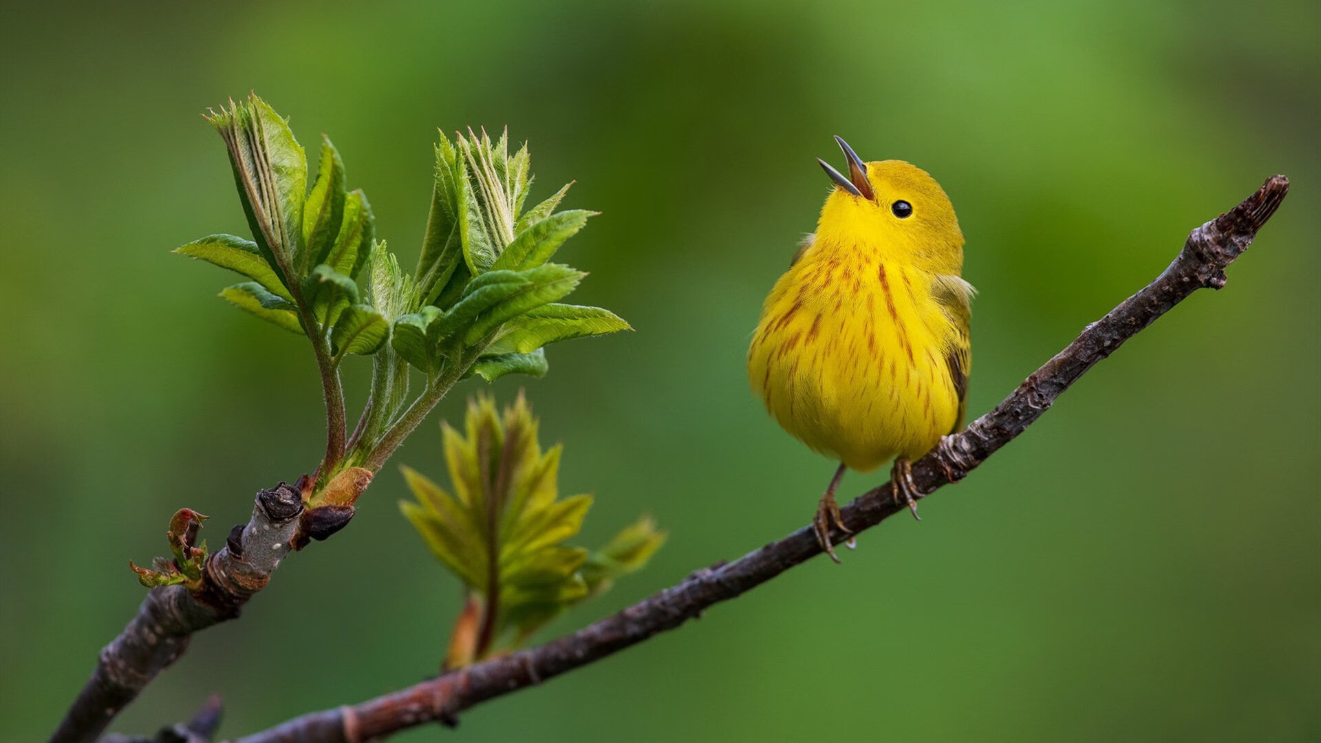 全国青少年“篮球文化创意展”在南京盛大举行,激发青少年文化自信