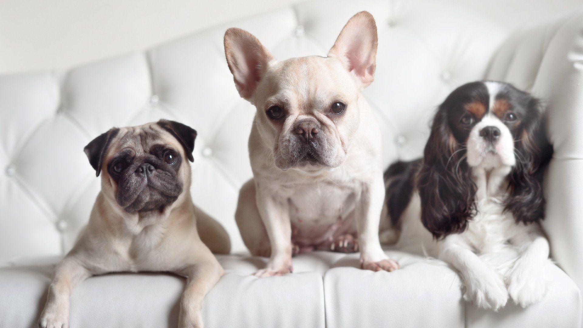 史上最“火爆”的快攻最高纪录近期被打破，快攻中最快的形式