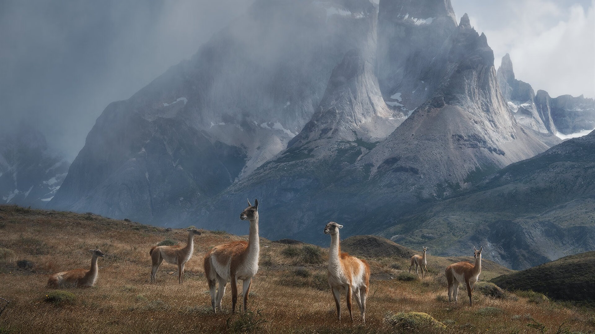 史上最震撼的“逆转战”,你看过哪一场?,电影逆转