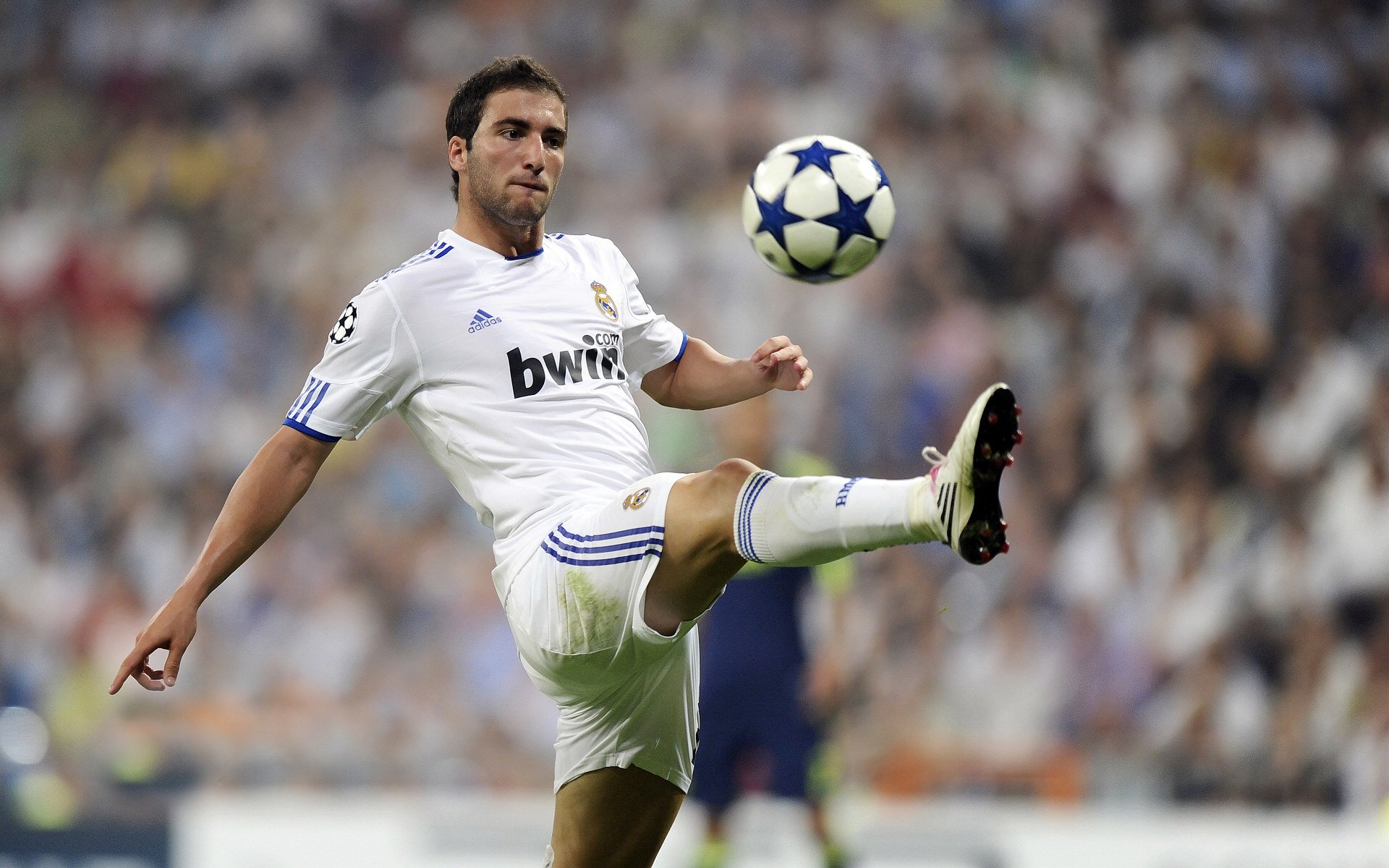 南非羚羊队：精妙的战术与身体素质的结合让他们屡屡获得优势，非洲小羚羊