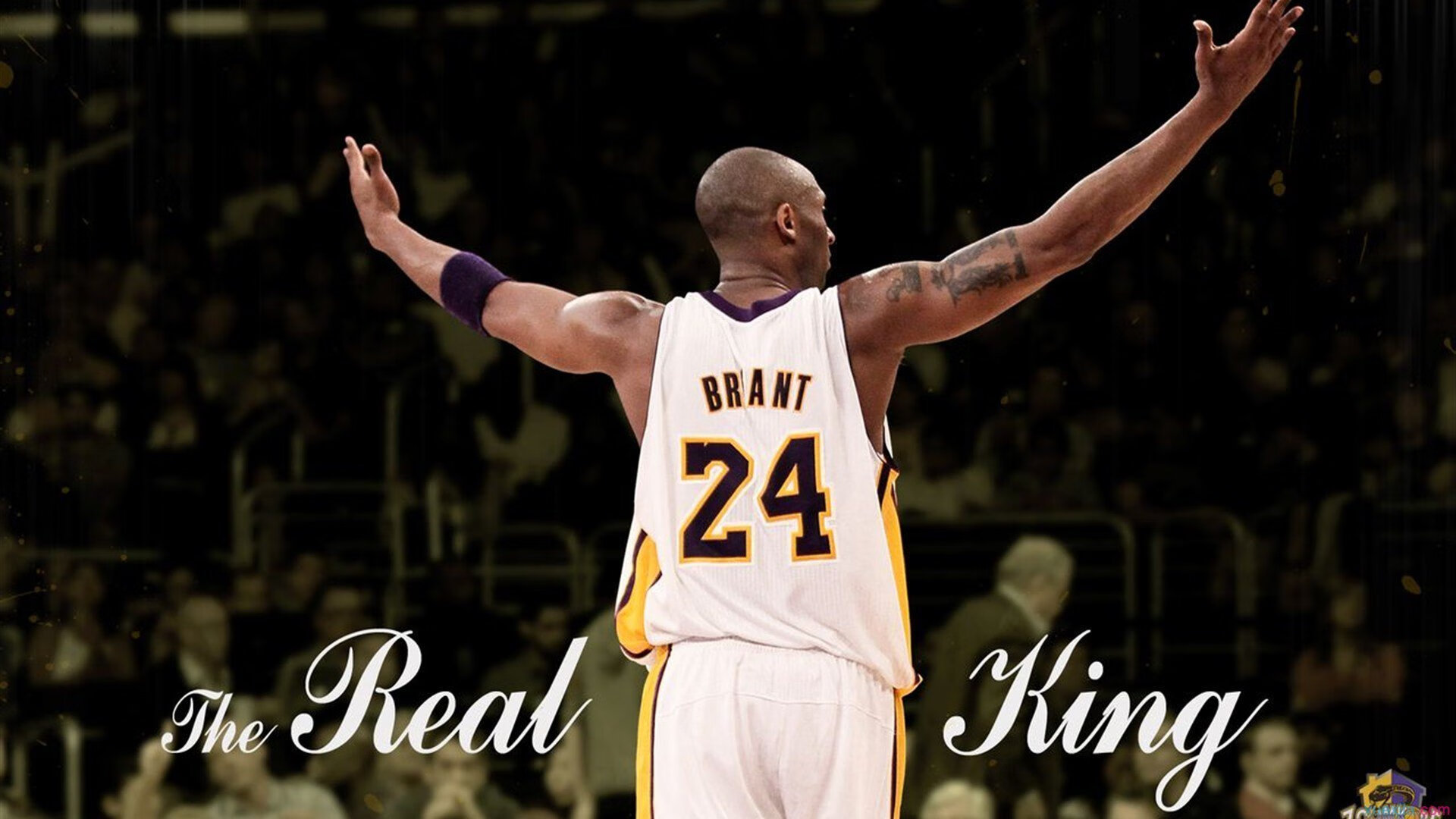 普费夫决赛表现超出预期赢得掌声，普夫实力